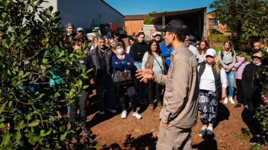 Visita guiada en la Cooperativa Flor de Jardín: grupo de turistas aprendiendo sobre la producción de yerba mate