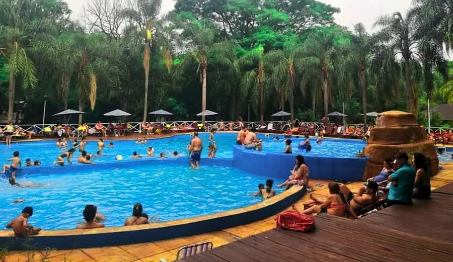 Piscina del Paraíso Lodge rodeada de palmeras y vegetación selvática misionera