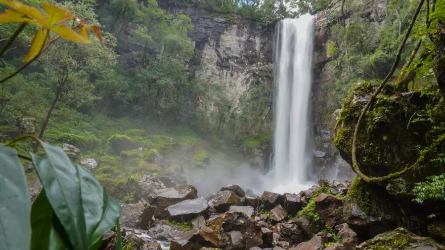 Salto Encantado: cascada de 64 metros de altura rodeada de selva misionera en el Valle del Cuñá Pirú