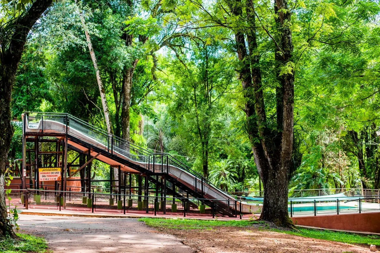 Pasarela y escalera metálica del parque entre árboles centenarios de la selva misionera