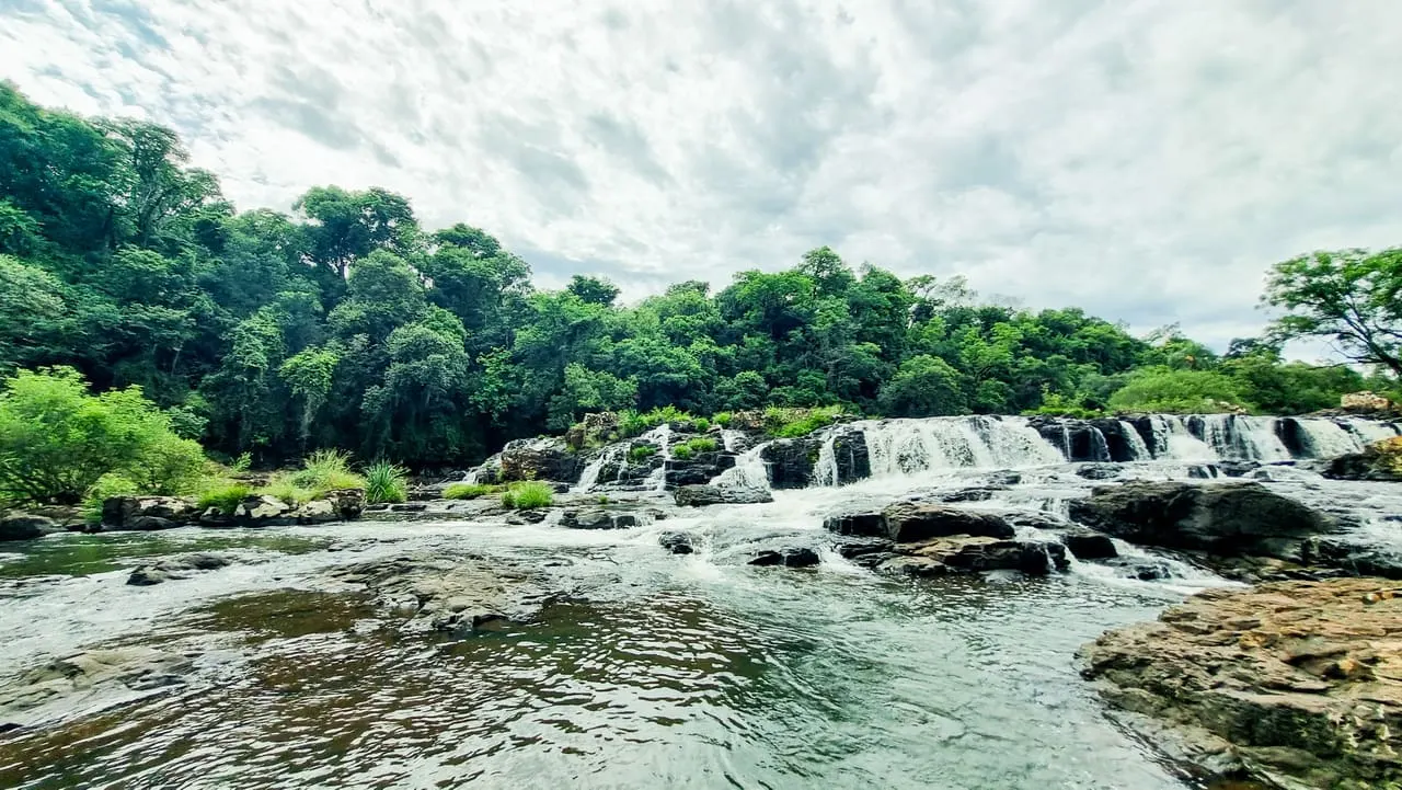 Cascadas escalonadas sobre rocas basálticas con selva verde exuberante al fondo